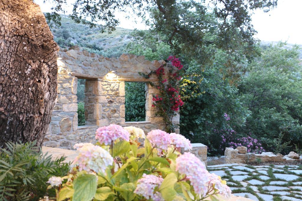 קריסטוס Naiades Villas מראה חיצוני תמונה